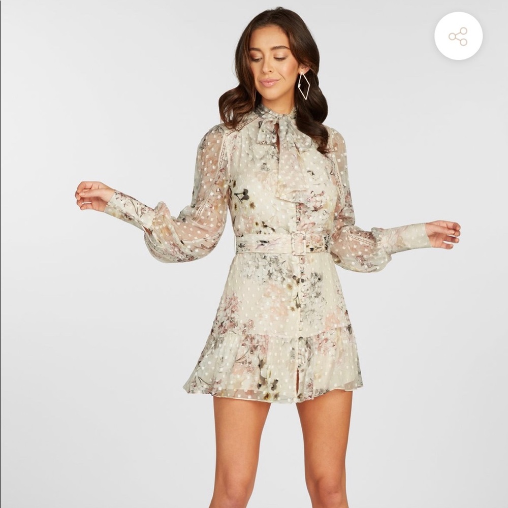 Ladaire Floral Mini Dress in Silk